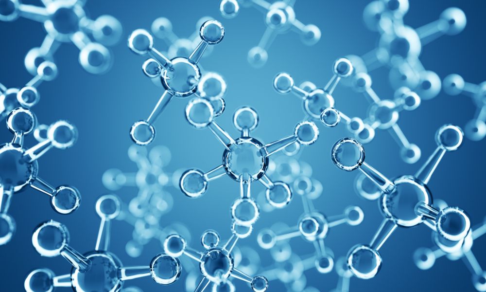 Protease enzymes 