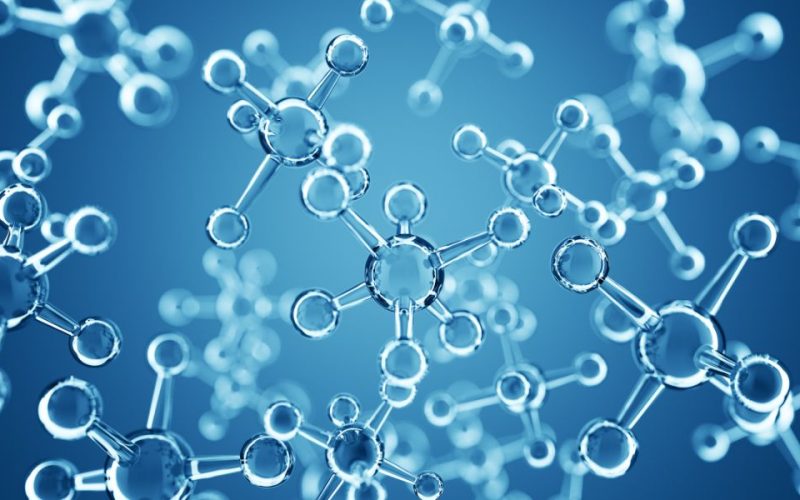 Protease Enzymes 3